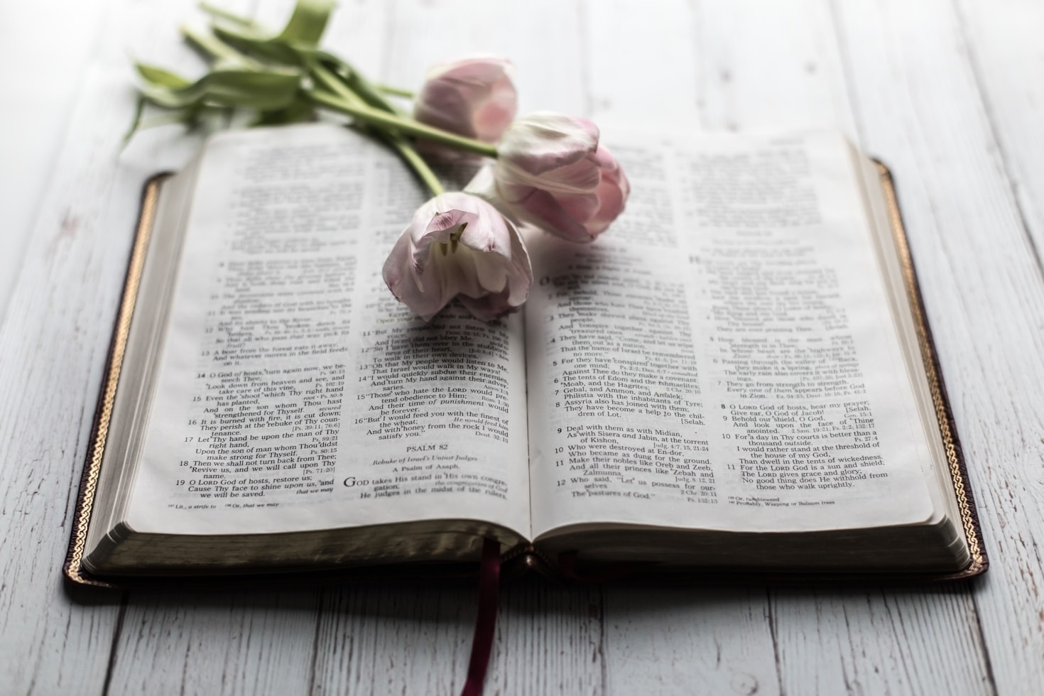 The Power Of Christian Sisterhood Today